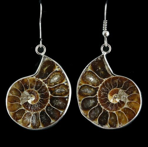 Fossil Ammonite Earrings - Million Years Old #48849